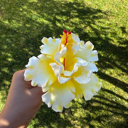 Arihi XL Double Hibiscus Flowers 11cm