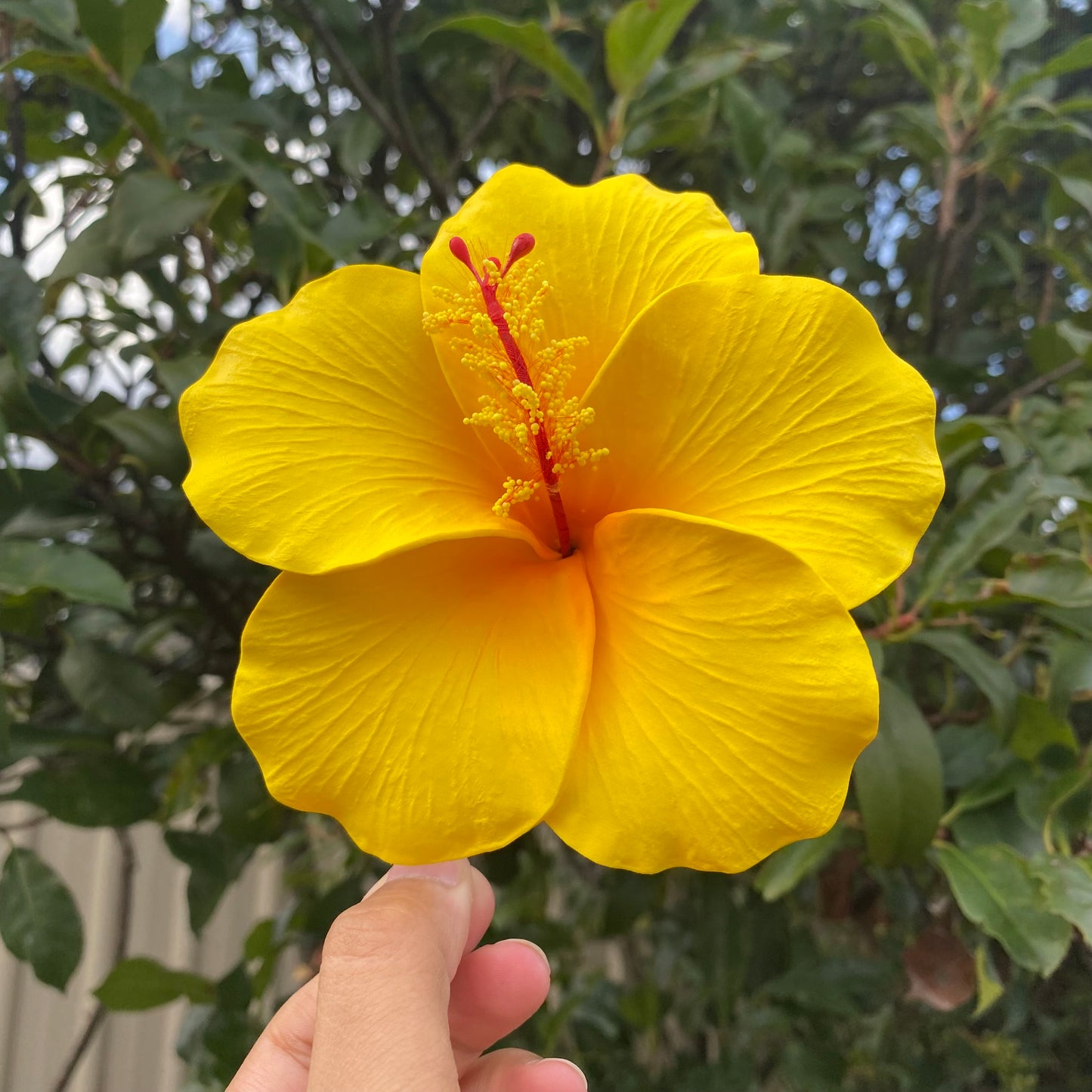 Hahana Classic XL Hibiscus Polynesian Sei Artificial Hair Flowers 12.5cm