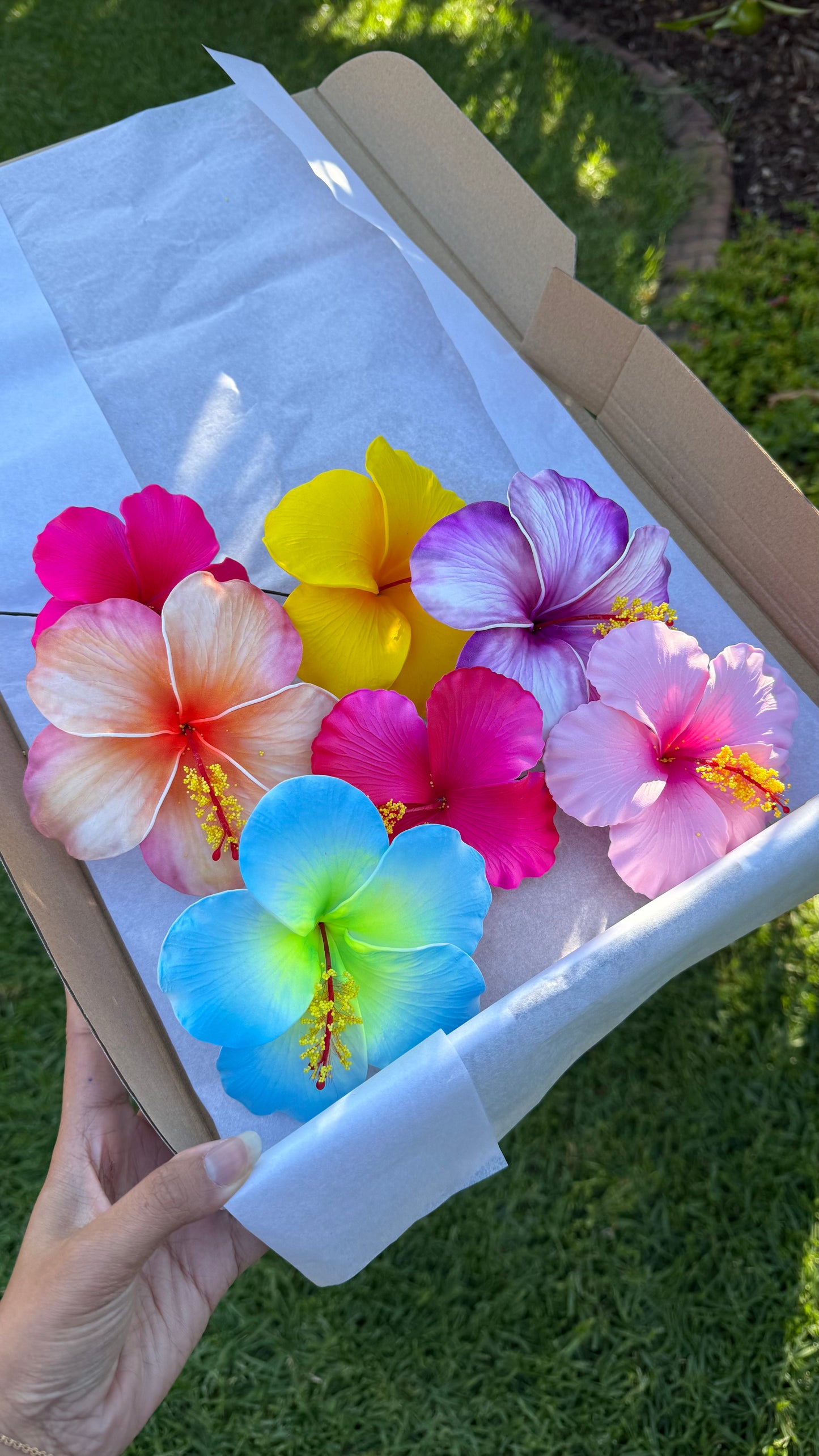 Sinalei Large Hibiscus Flowers (7x) Gift Box