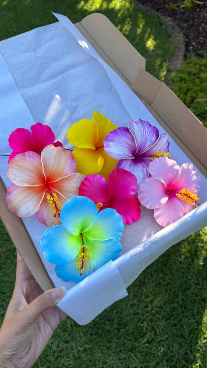 Sinalei Large Hibiscus Flowers (7x) Gift Box