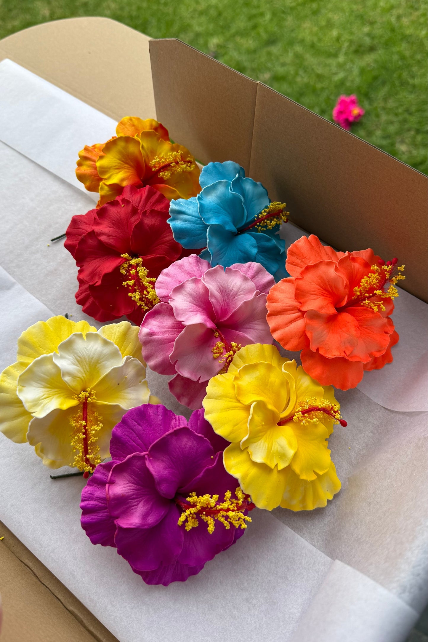 Arieta Deluxe Double Hibiscus Assorted Gift Box (8 pieces)