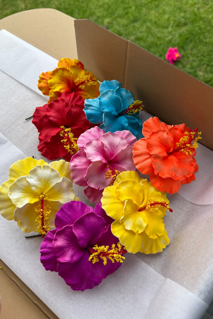 Arieta Double Hibiscus (5 pieces) Assorted Gift Box