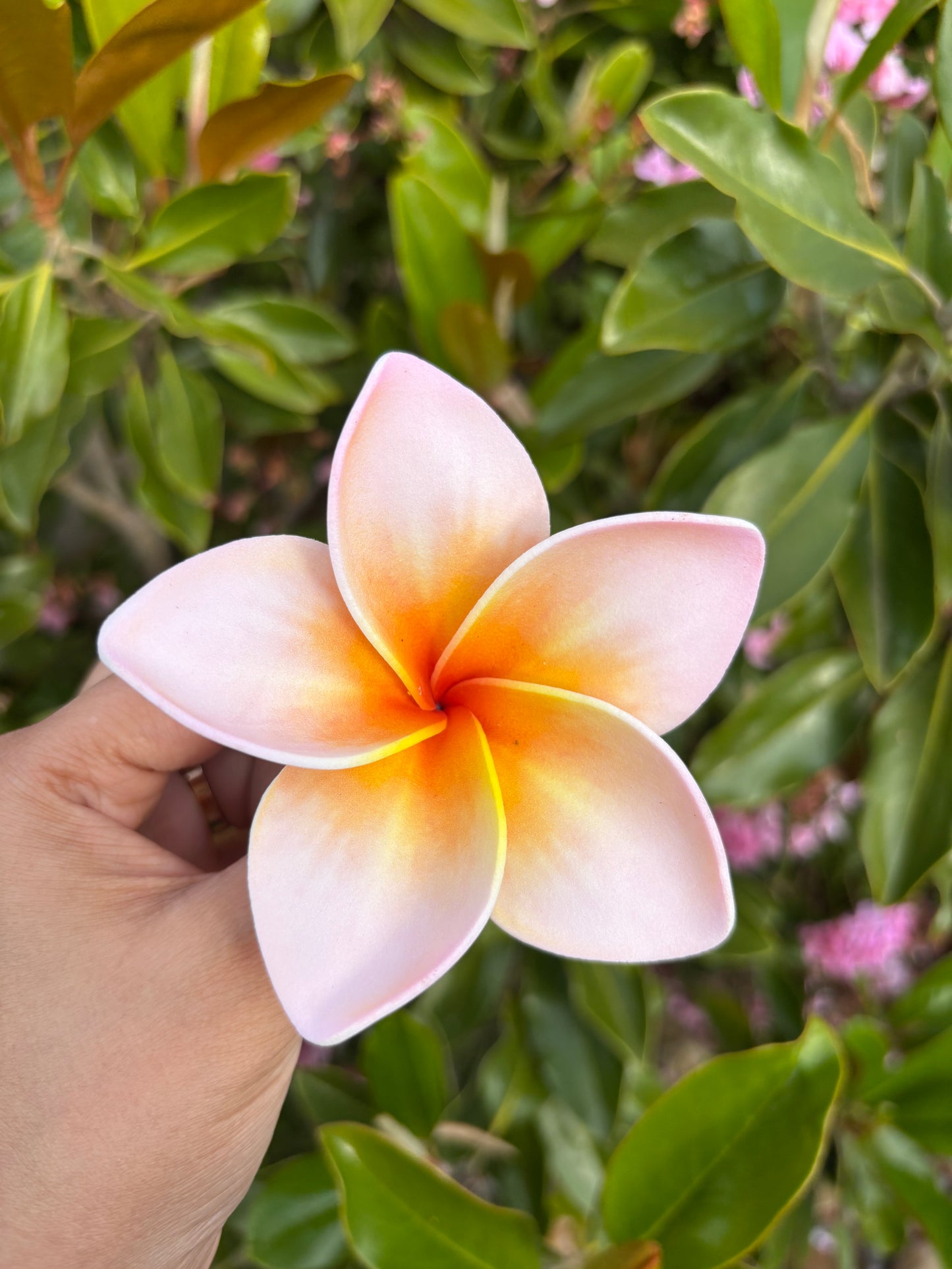Atalina Frangipani Sei Flowers Size L Pacific Islands Polynesian Hair Flowers Pua