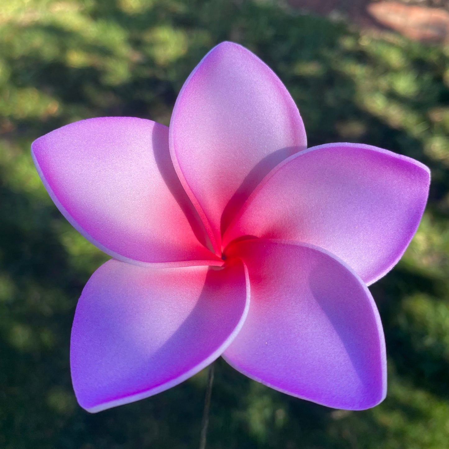 Amaia Large Frangipani Sei Faux Hair Flowers Pacific Islander Womens Accessories 9cm Tekiteki - Island Aesthetica