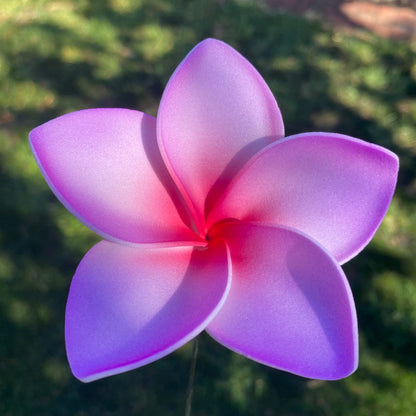 Amaia Large Frangipani Sei Faux Hair Flowers Pacific Islander Womens Accessories 9cm Tekiteki - Island Aesthetica