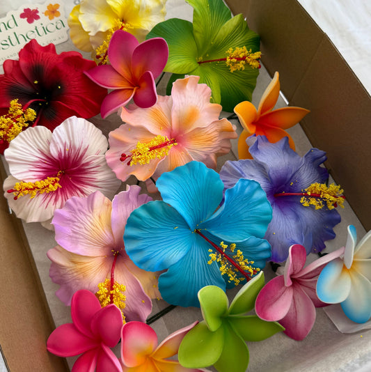 Hinemoa Assorted Gift Box (15x)