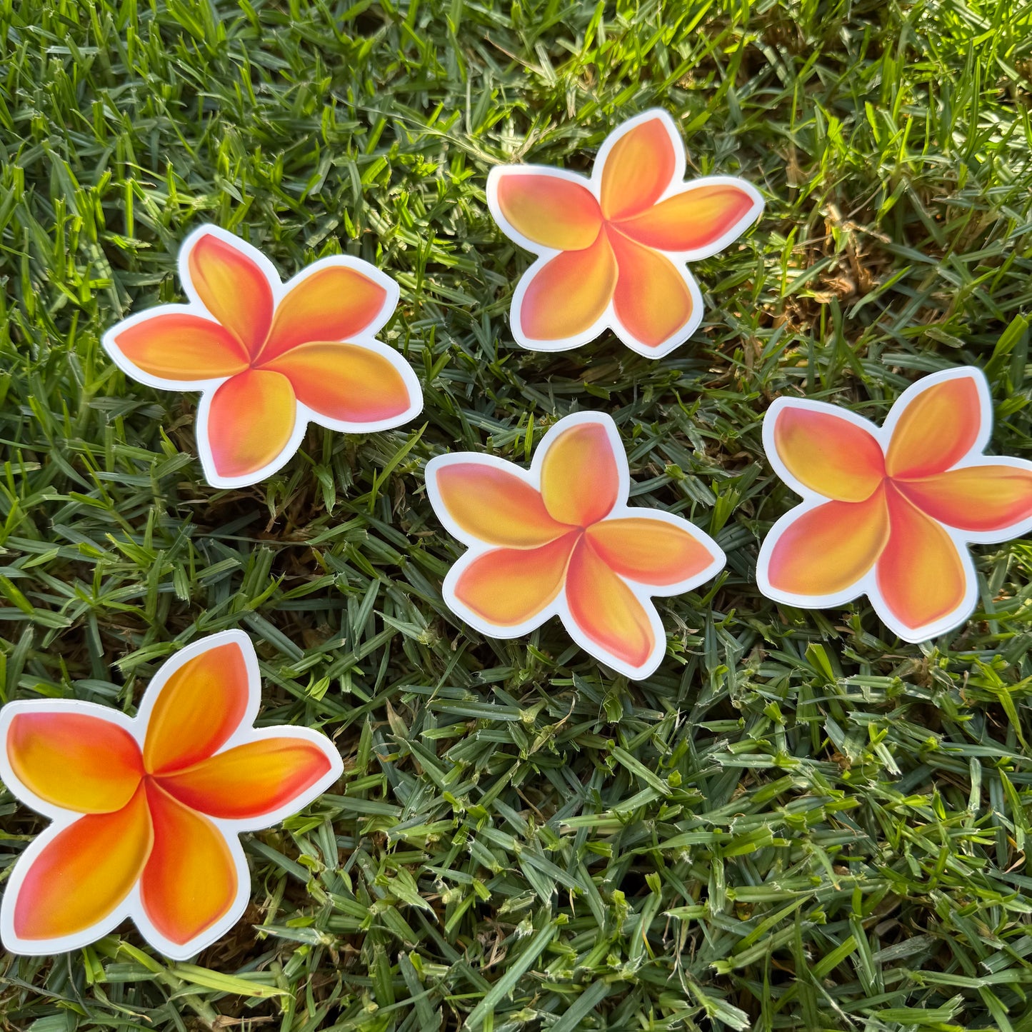 Plumeria Stickers