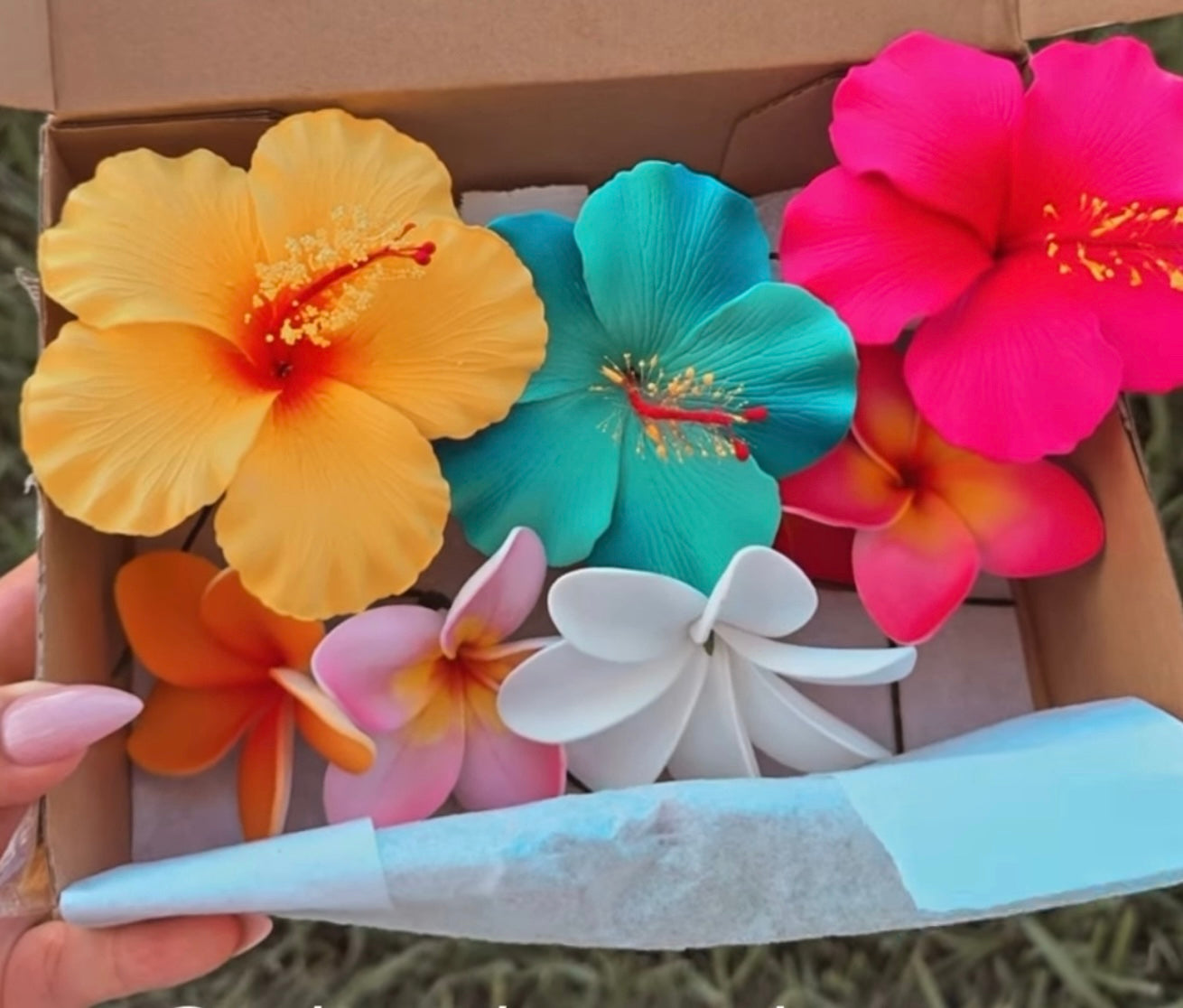 Aneira Gift Box (7x) Assorted Flowers