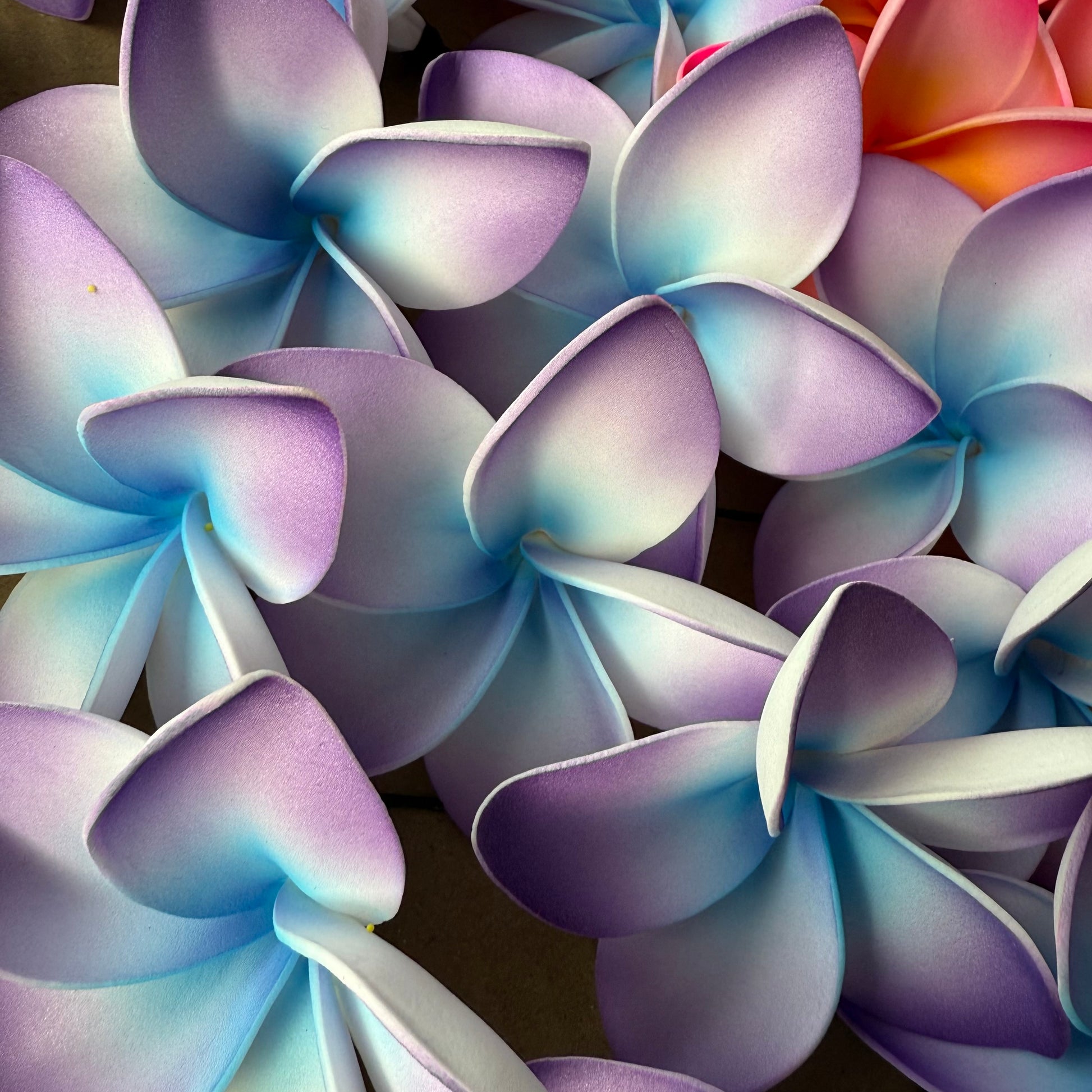 Amaia Large Frangipani Sei Faux Hair Flowers Pacific Islander Womens Accessories 9cm Tekiteki - Island Aesthetica