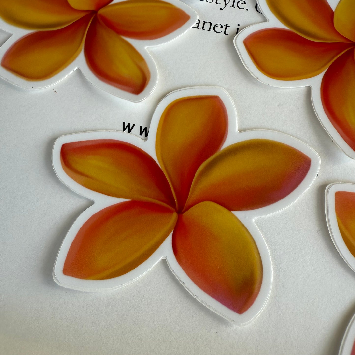 Plumeria Stickers