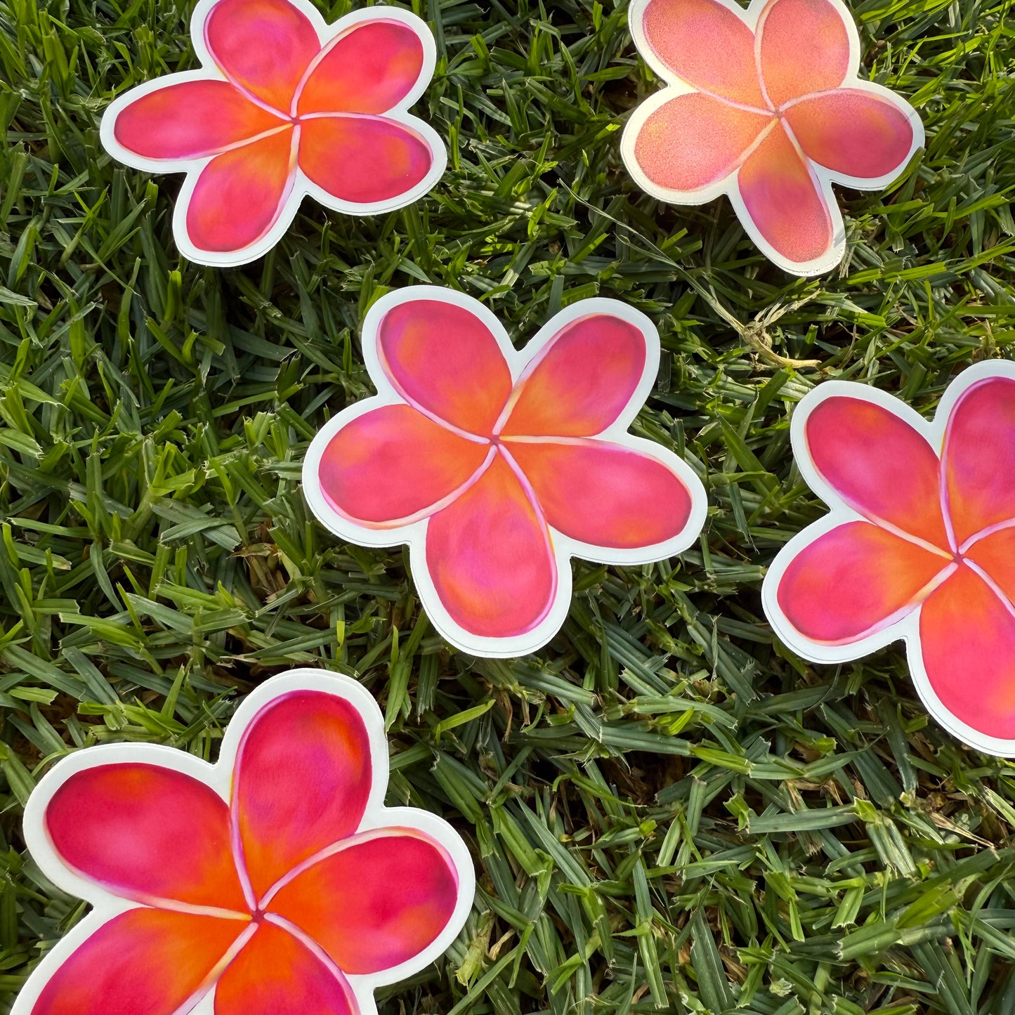 Plumeria Stickers
