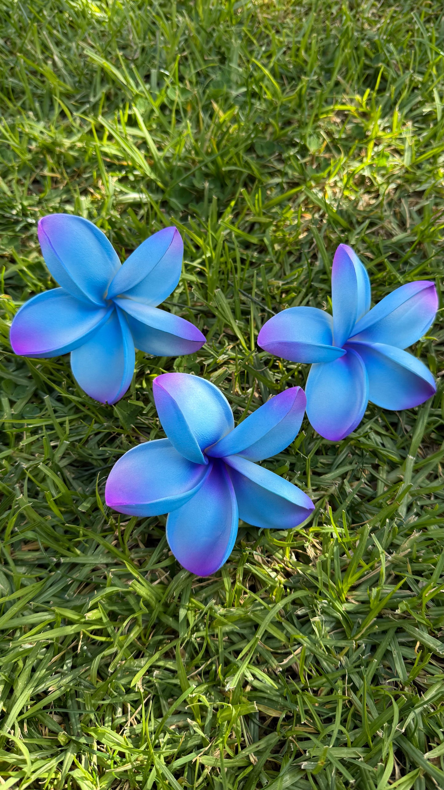 Anahera Frangipani Sei Hair Flowers – Large 9cm | Polynesian Plumeria Sei