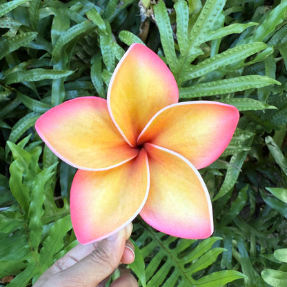 Atalina Frangipani Sei Flowers Size L Pacific Islands Polynesian Hair Flowers Pua
