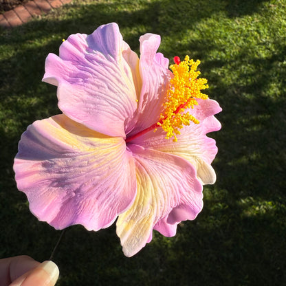 Lupeni XL Gradient Hibiscus Flowers 10cm