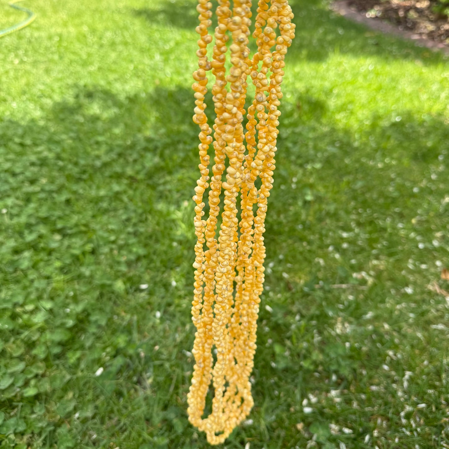 Ula Sisi Shell Necklace 40cm Length