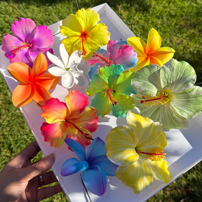 Marina Assorted Gift Box (11 pieces) Hibiscus Frangipani Tiare