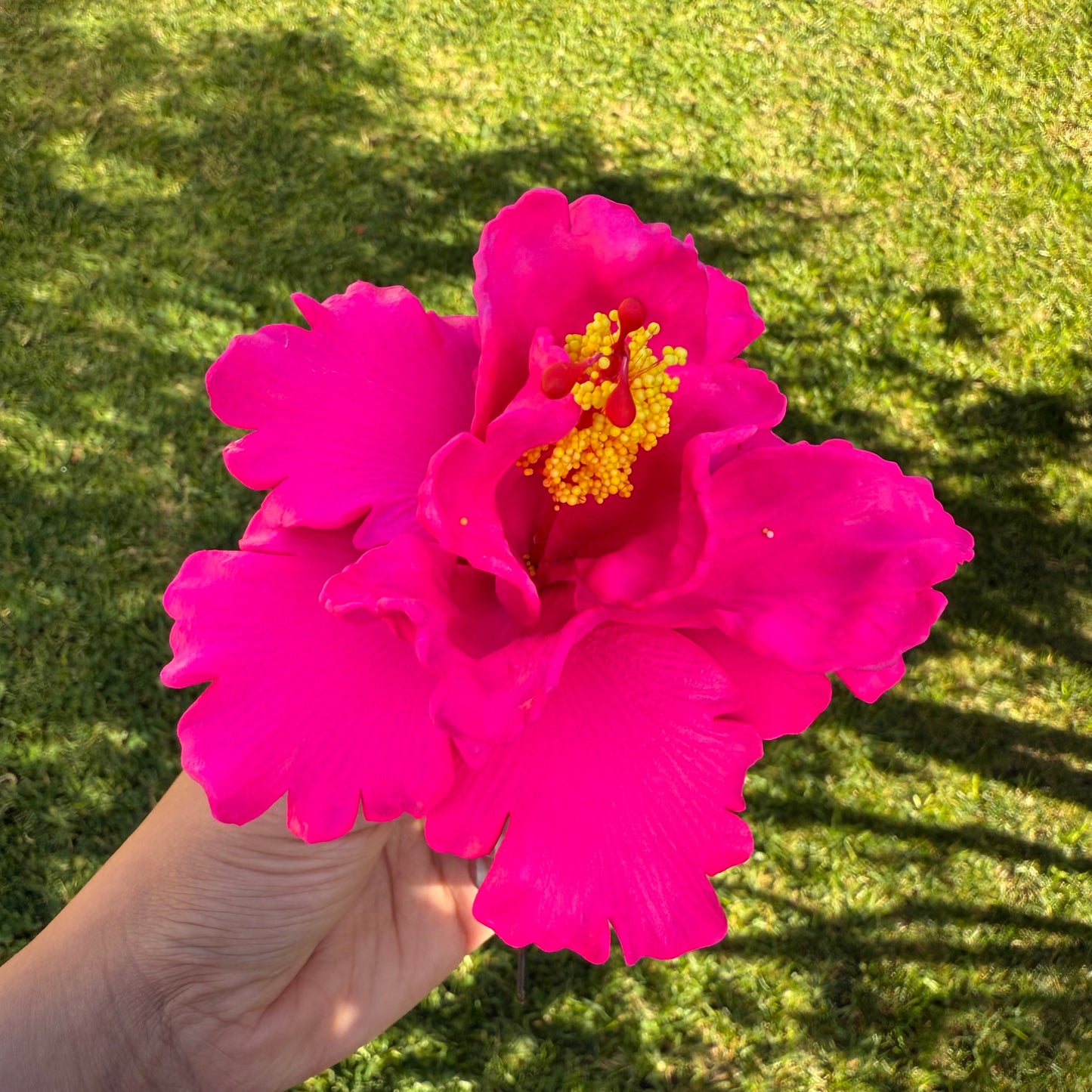 Arihi XL Double Hibiscus Flowers 11cm