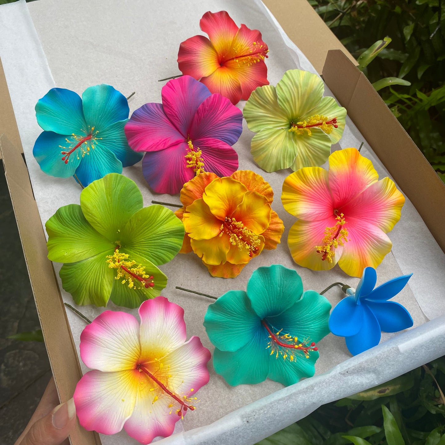 Aofia Gift Box (10x) Sei Aute Hair Flowers