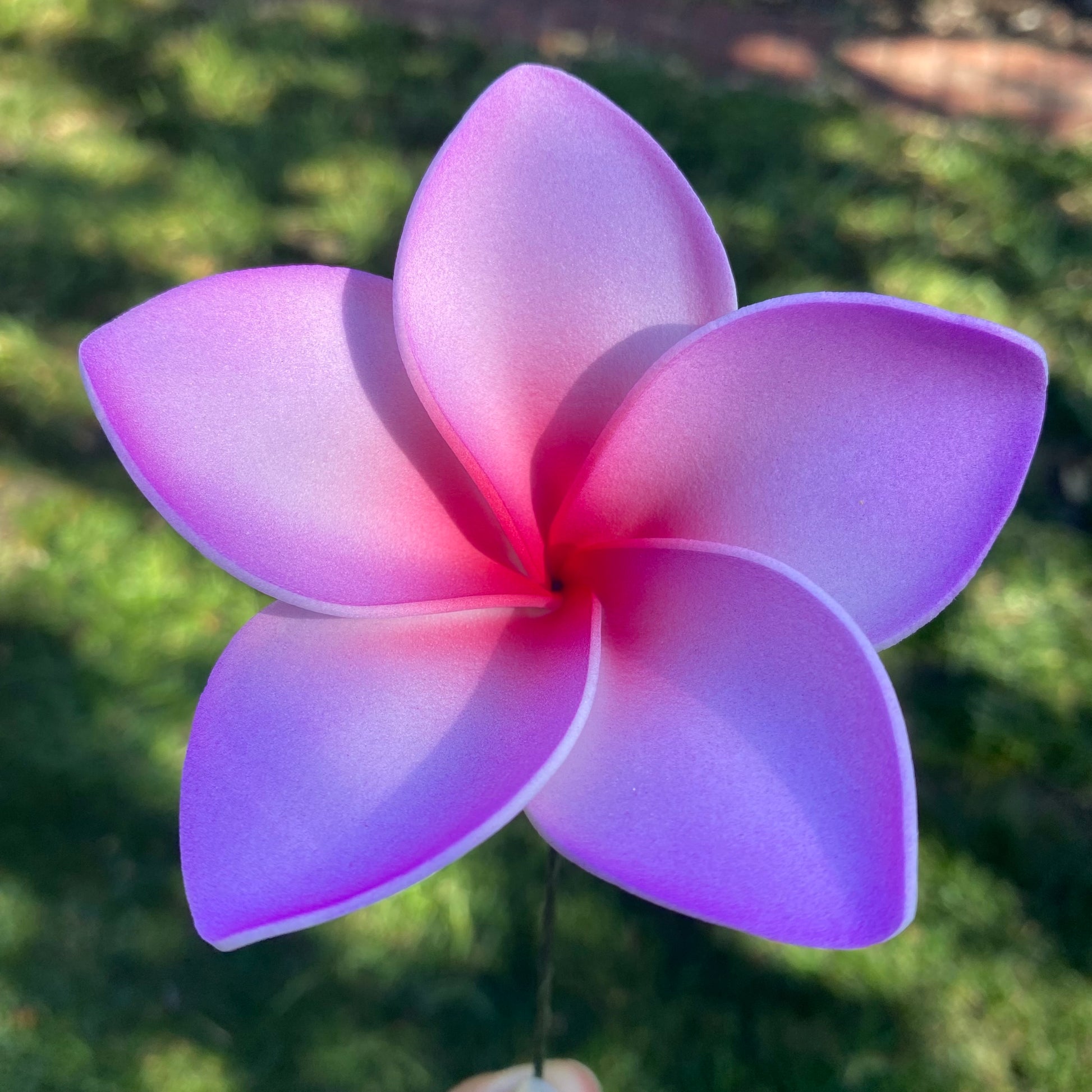 Amaia Large Frangipani Sei Faux Hair Flowers Pacific Islander Womens Accessories 9cm Tekiteki - Island Aesthetica