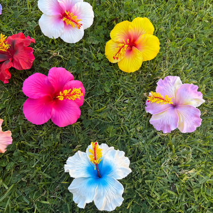 Solana Assorted XL Hibiscus Gift Box (10x)
