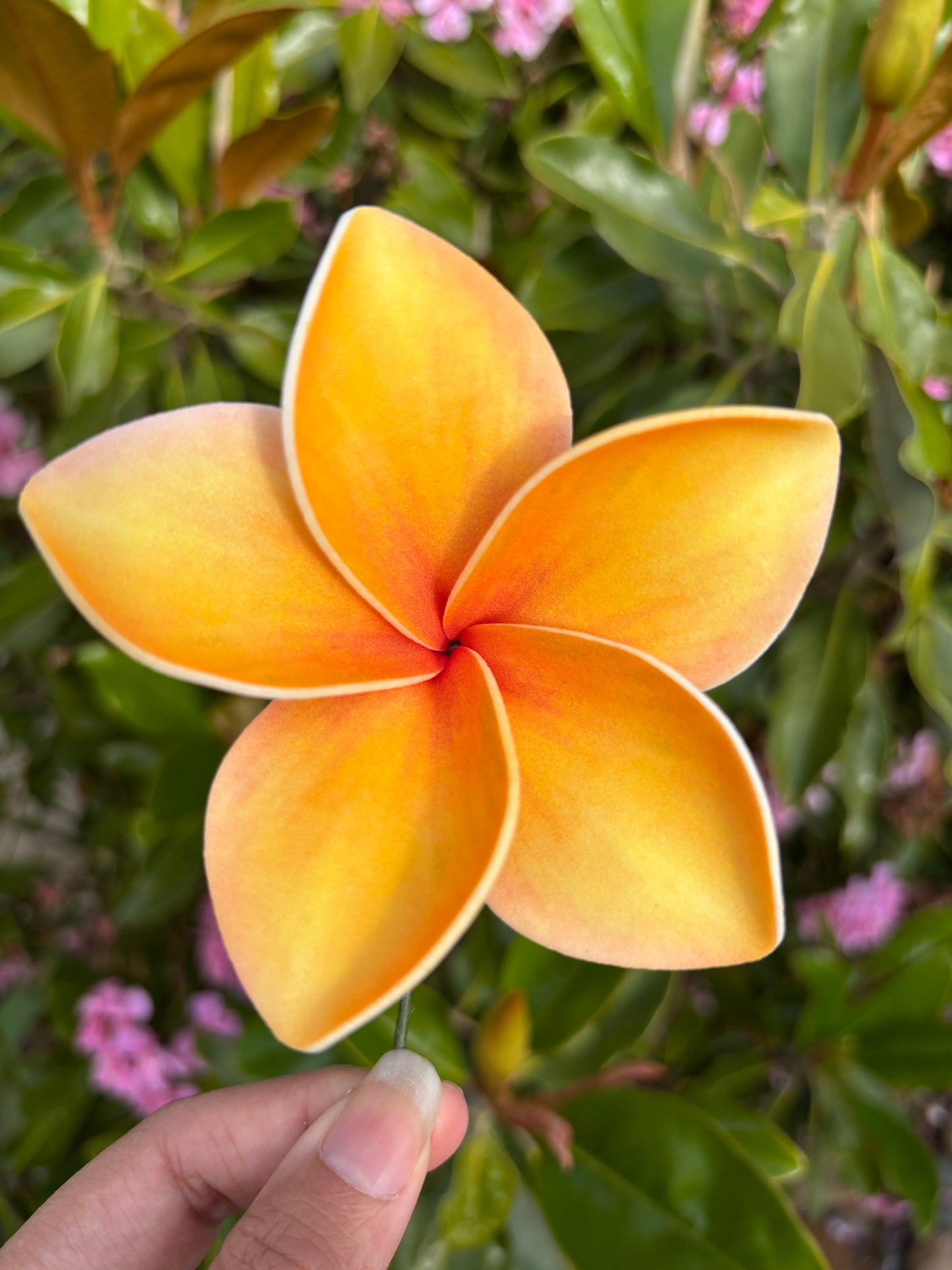 Atalina Frangipani Sei Flowers Size L Pacific Islands Polynesian Hair Flowers Pua