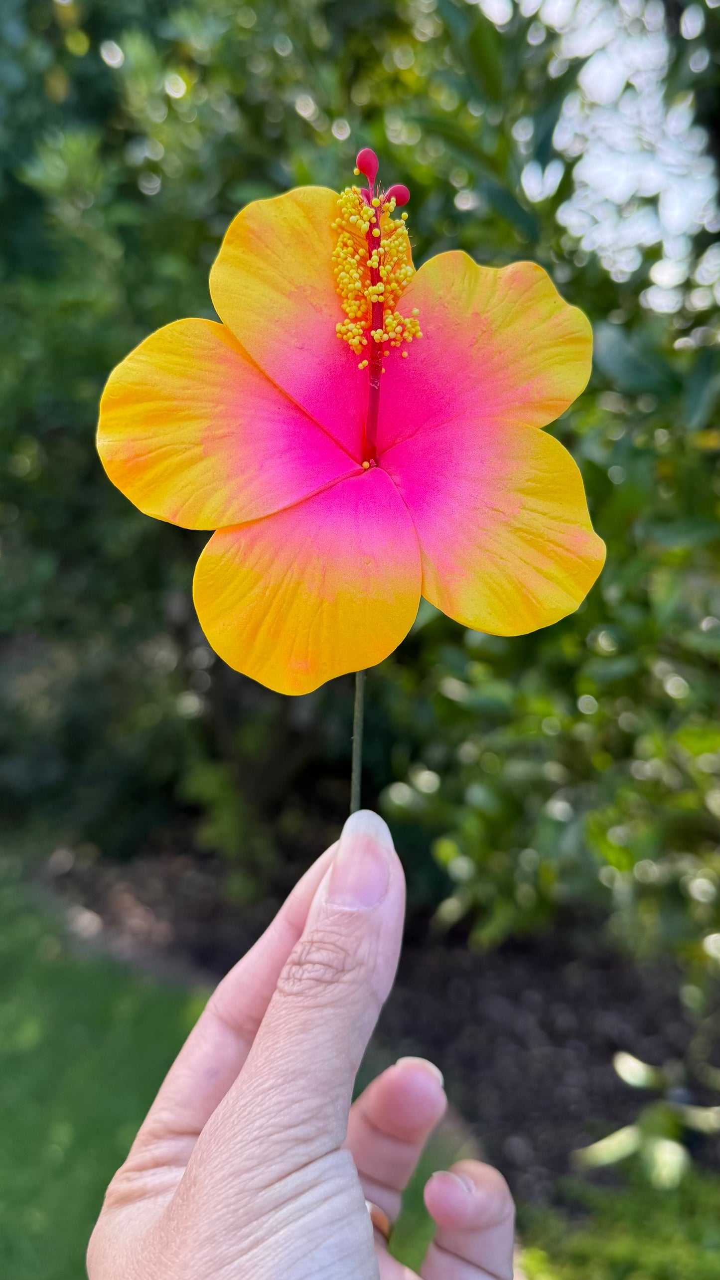 Leleana Mini Hibiscus Sei Flowers 8cm Aute Pacifika Pua