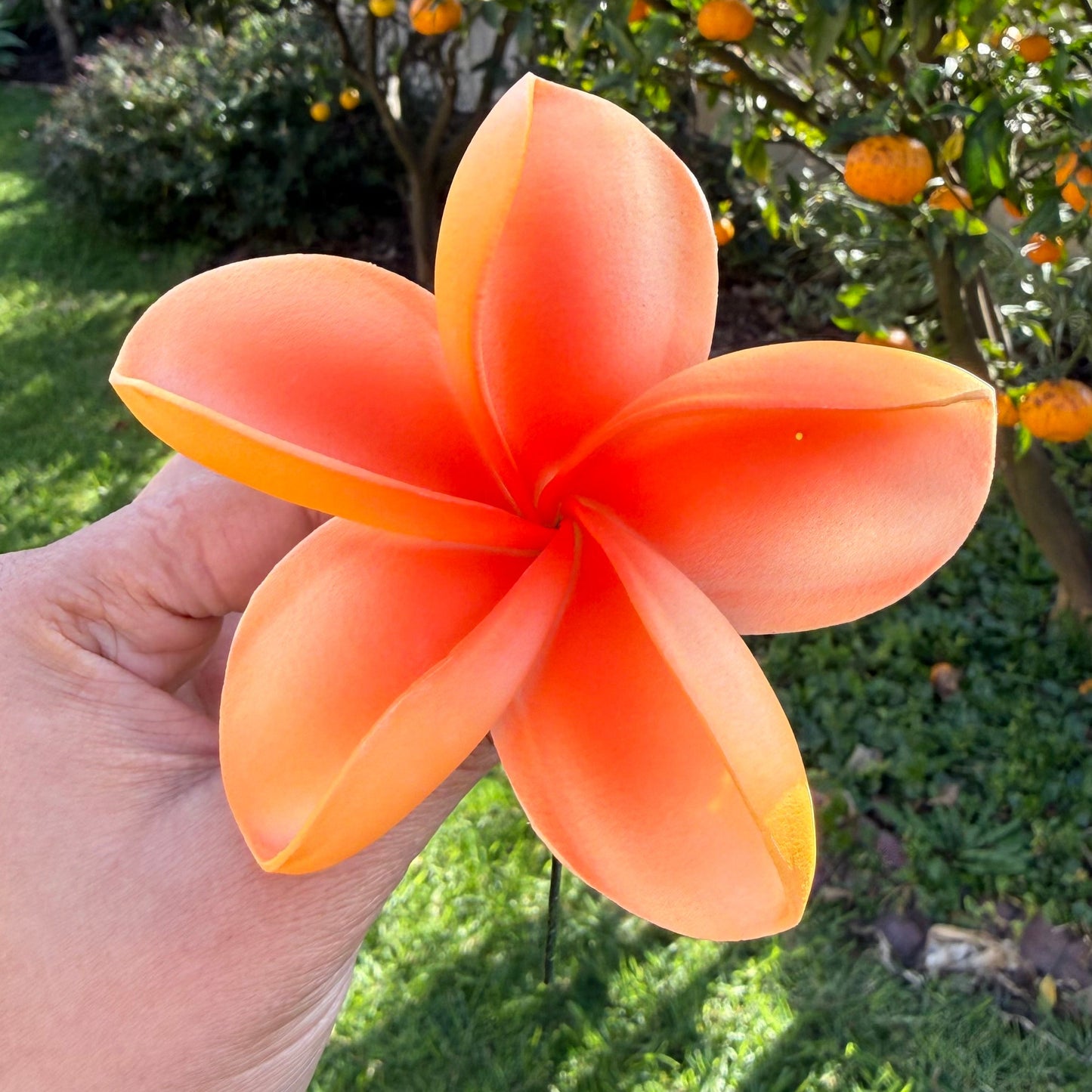 Anahera Frangipani Sei Hair Flowers – Large 9cm | Polynesian Plumeria Sei