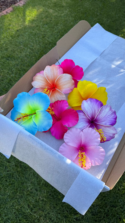 Sinalei Large Hibiscus Flowers (7x) Gift Box