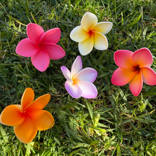 Maile XS Frangipani Sei Flowers 5cm