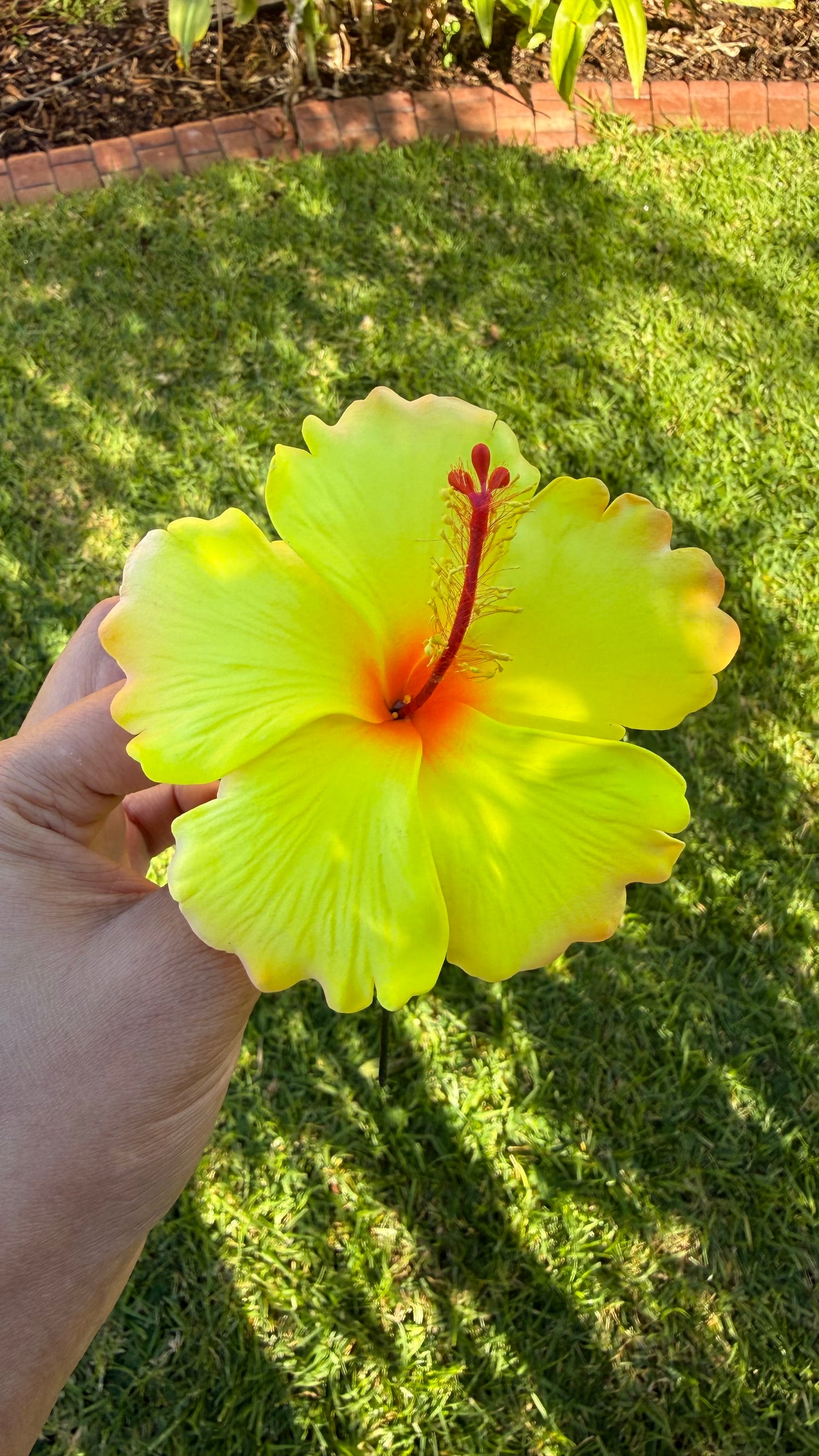 XL Gradient Hibiscus Polynesian Sei Hair Flowers 10cm