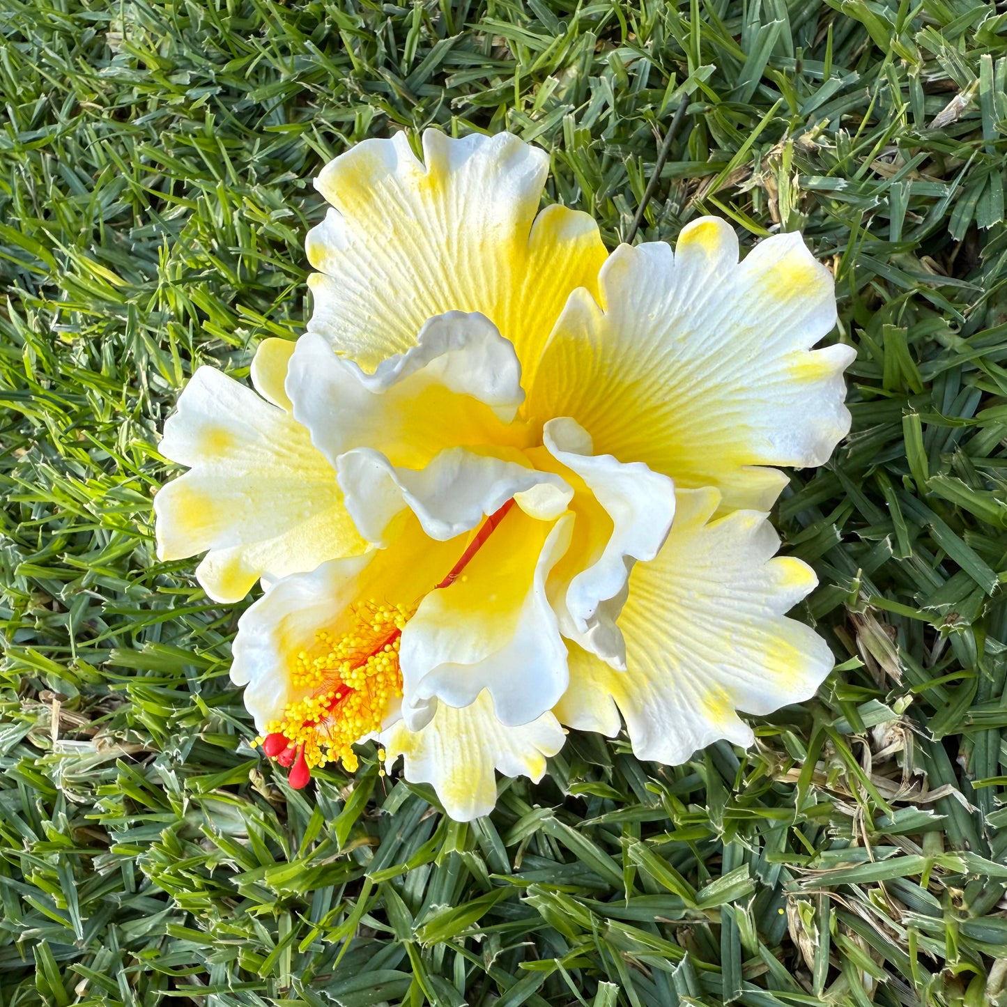 Arihi XL Double Hibiscus Flowers 11cm