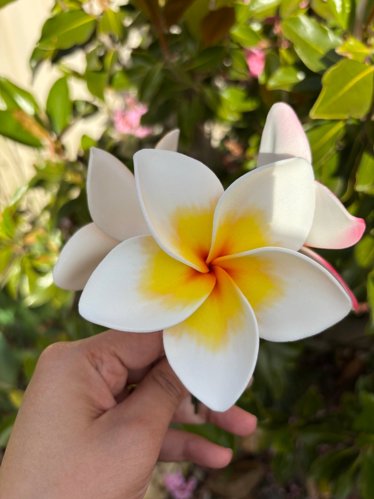 Atalina Frangipani Sei Flowers Size L Pacific Islands Polynesian Hair Flowers Pua