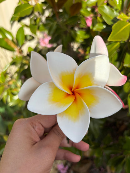 Atalina Frangipani Sei Flowers Size L Pacific Islands Polynesian Hair Flowers Pua