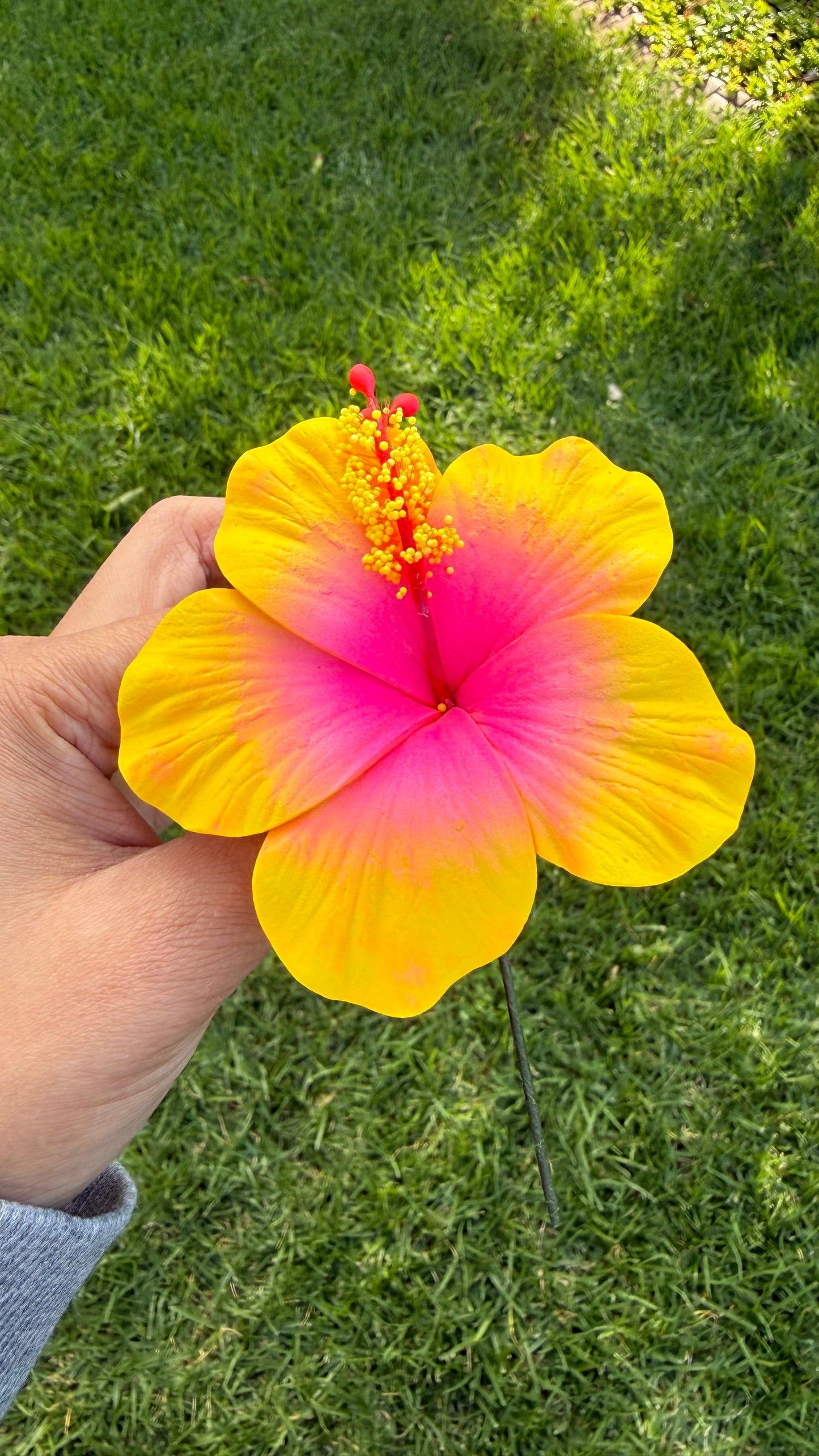 Leleana Mini Hibiscus Sei Flowers 8cm Aute Pacifika Pua