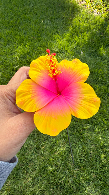 Leleana Mini Hibiscus Sei Flowers 8cm Aute Pacifika Pua