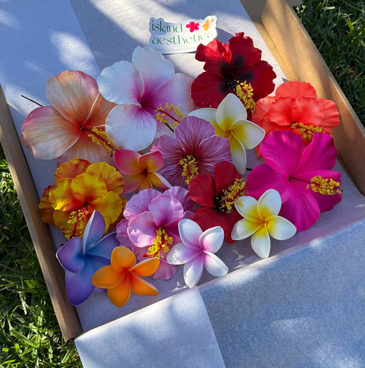 Alani Assorted Flowers Gift Box (15x)