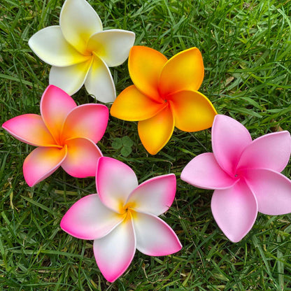 Amaia Large Frangipani Sei Faux Hair Flowers Pacific Islander Womens Accessories 9cm Tekiteki - Island Aesthetica
