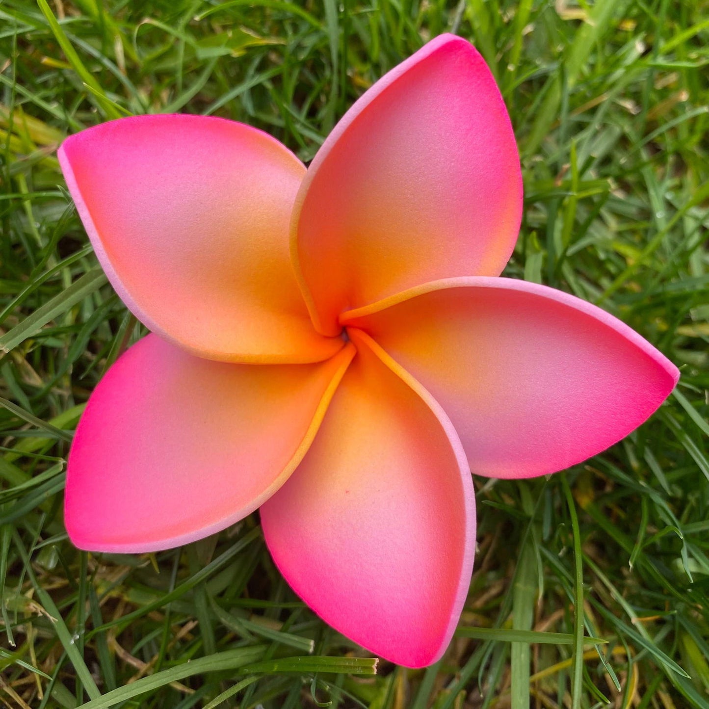 Amaia Large Frangipani Sei Faux Hair Flowers Pacific Islander Womens Accessories 9cm Tekiteki - Island Aesthetica