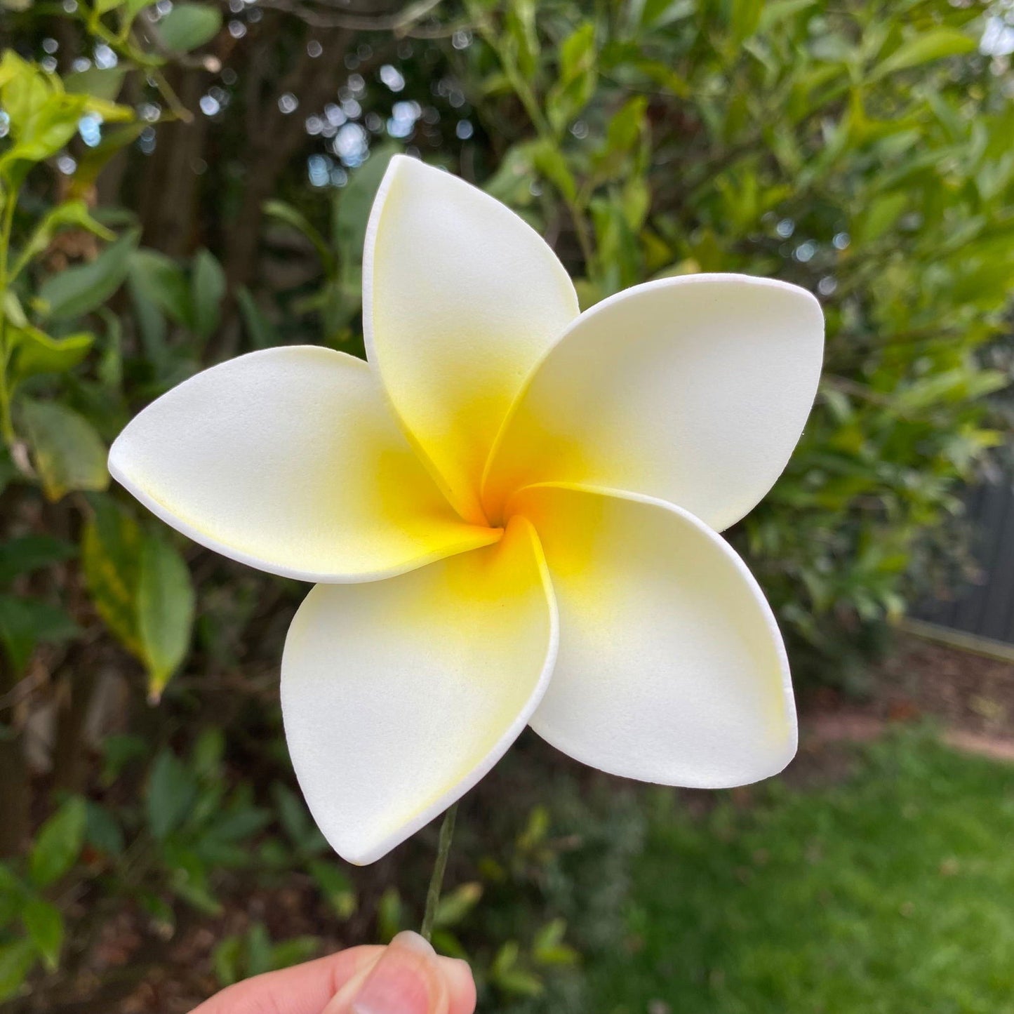 Amaia Large Frangipani Sei Faux Hair Flowers Pacific Islander Womens Accessories 9cm Tekiteki - Island Aesthetica