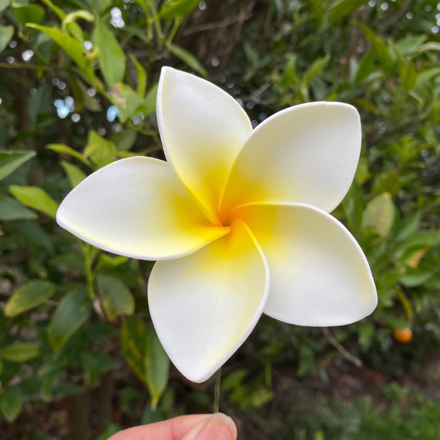 Amaia Large Frangipani Sei Faux Hair Flowers Pacific Islander Womens Accessories 9cm Tekiteki - Island Aesthetica