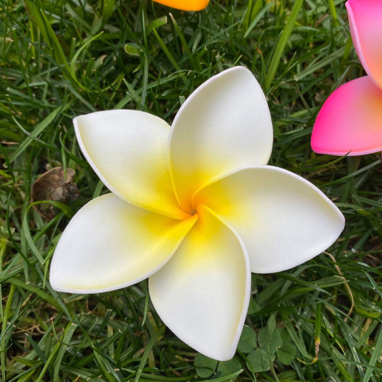 Amaia Large Frangipani Sei Faux Hair Flowers Pacific Islander Womens Accessories 9cm Tekiteki - Island Aesthetica