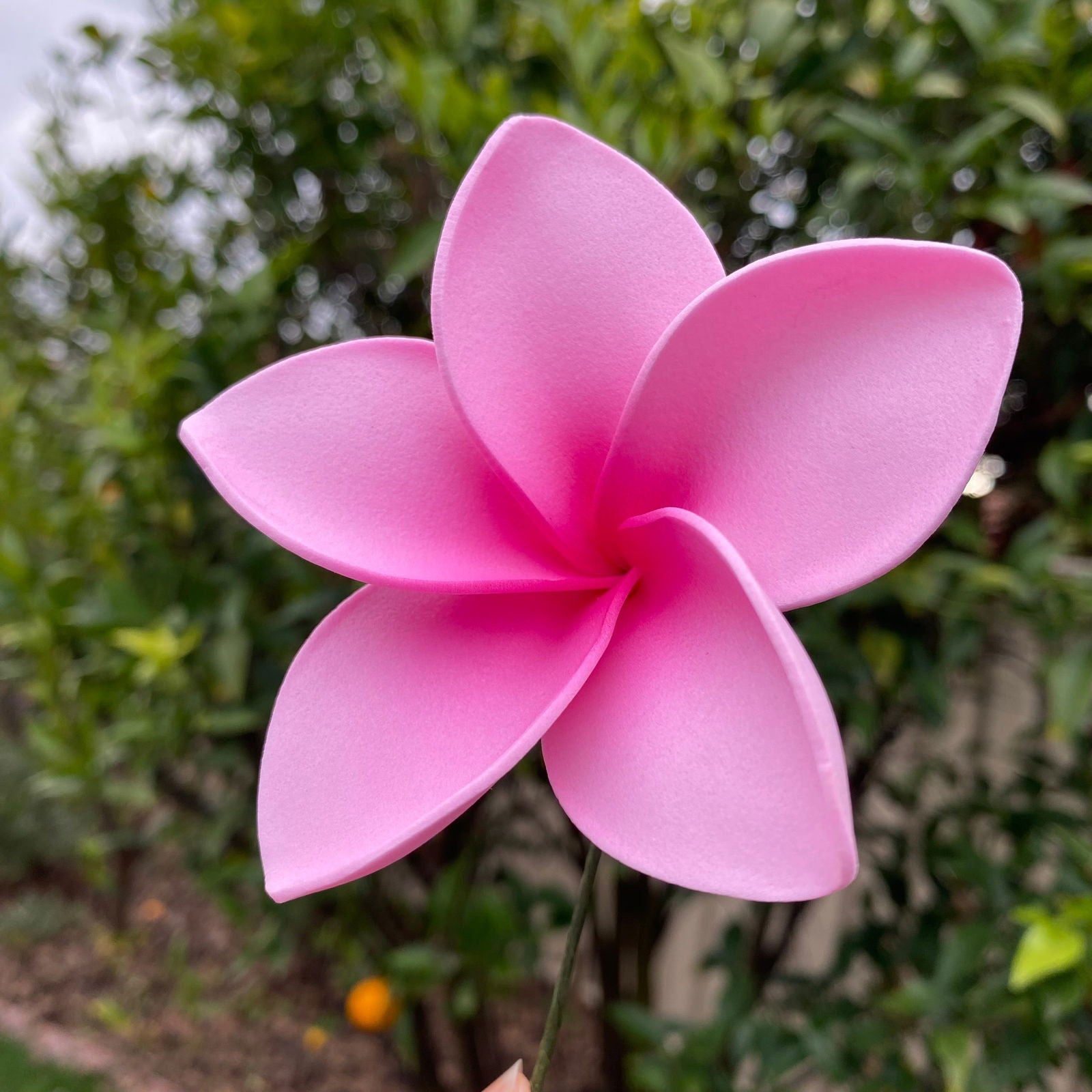 Amaia Large Frangipani Sei Faux Hair Flowers Pacific Islander Womens Accessories 9cm Tekiteki - Island Aesthetica