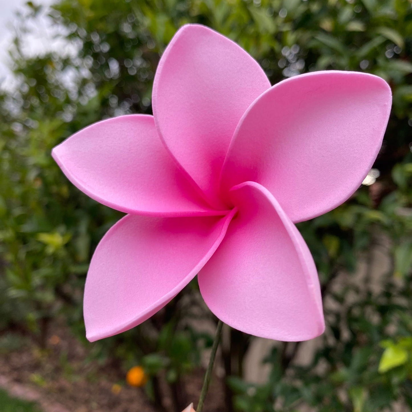 Amaia Large Frangipani Sei Faux Hair Flowers Pacific Islander Womens Accessories 9cm Tekiteki - Island Aesthetica