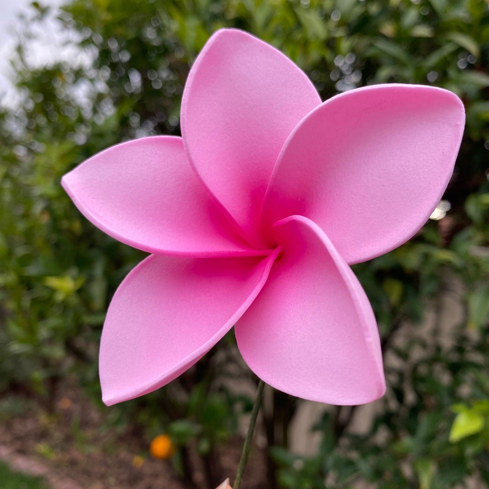 Amaia Large Frangipani Sei Faux Hair Flowers Pacific Islander Womens Accessories 9cm Tekiteki - Island Aesthetica