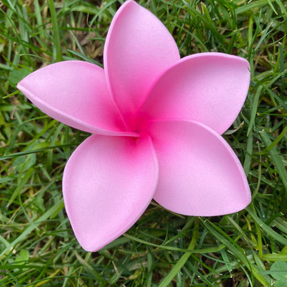 Amaia Large Frangipani Sei Faux Hair Flowers Pacific Islander Womens Accessories 9cm Tekiteki - Island Aesthetica