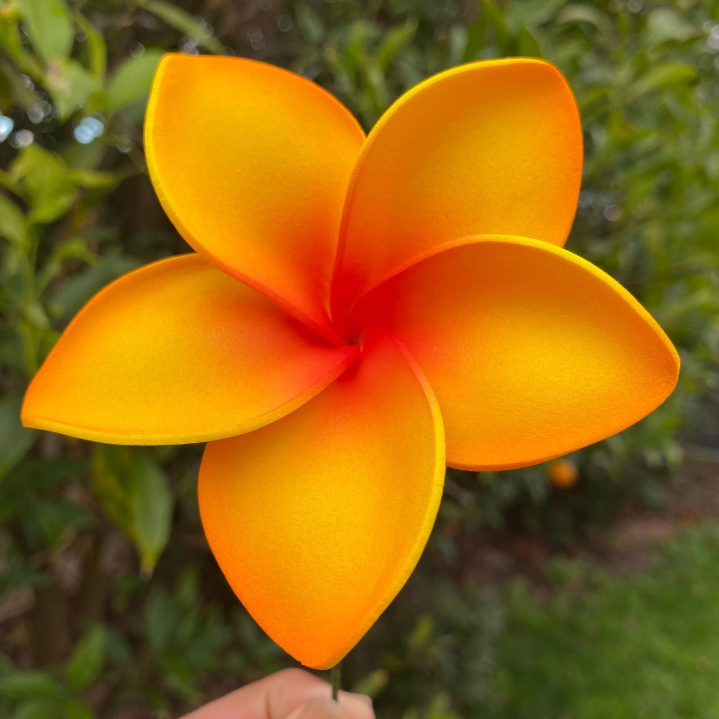 Amaia Large Frangipani Sei Faux Hair Flowers Pacific Islander Womens Accessories 9cm Tekiteki - Island Aesthetica