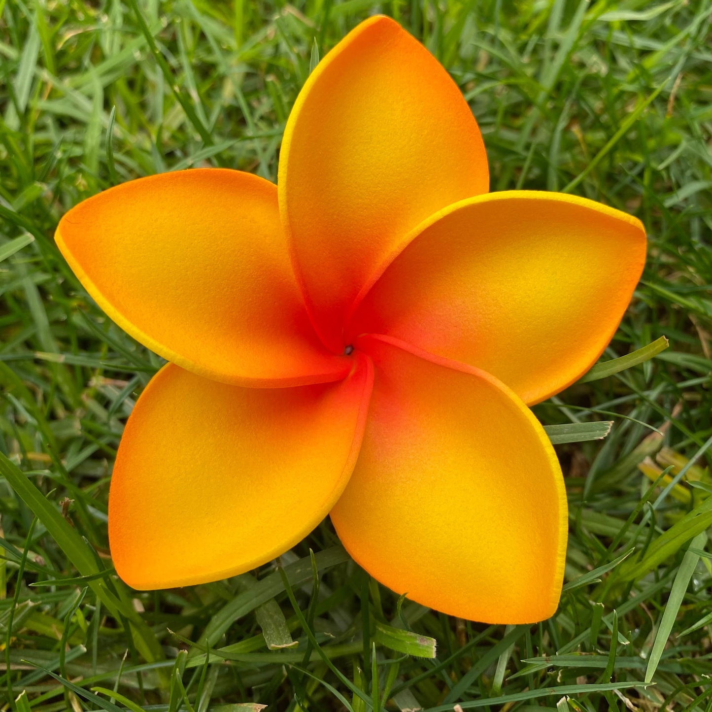 Amaia Large Frangipani Sei Faux Hair Flowers Pacific Islander Womens Accessories 9cm Tekiteki - Island Aesthetica