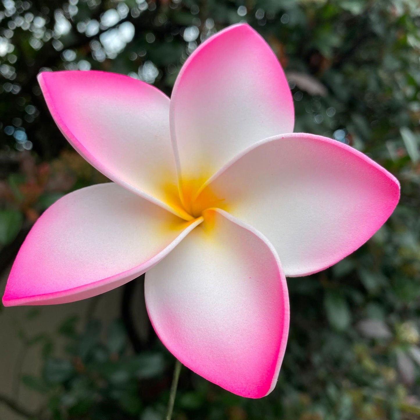 Amaia Large Frangipani Sei Faux Hair Flowers Pacific Islander Womens Accessories 9cm Tekiteki - Island Aesthetica