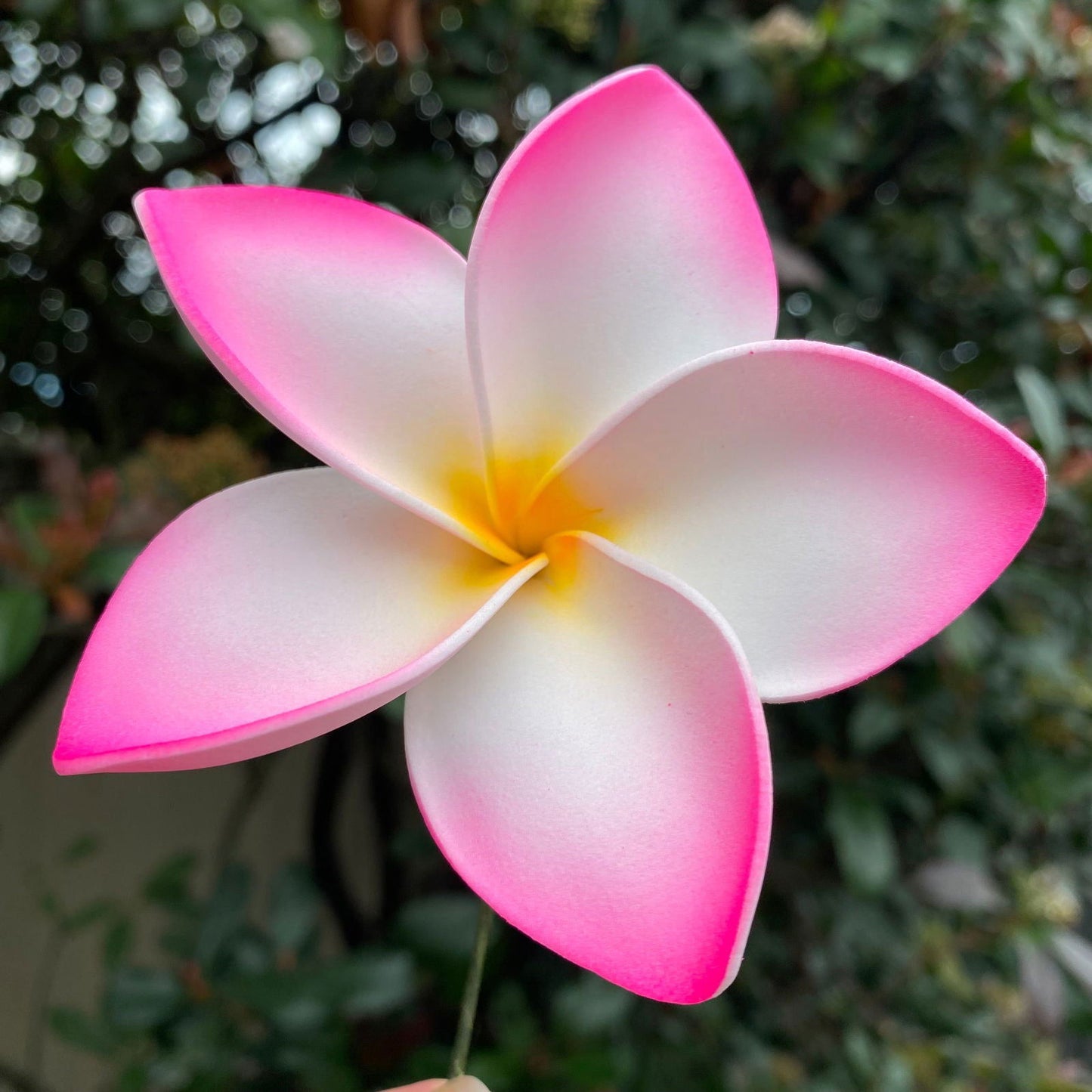 Amaia Large Frangipani Sei Faux Hair Flowers Pacific Islander Womens Accessories 9cm Tekiteki - Island Aesthetica