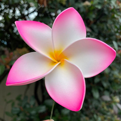 Amaia Large Frangipani Sei Faux Hair Flowers Pacific Islander Womens Accessories 9cm Tekiteki - Island Aesthetica